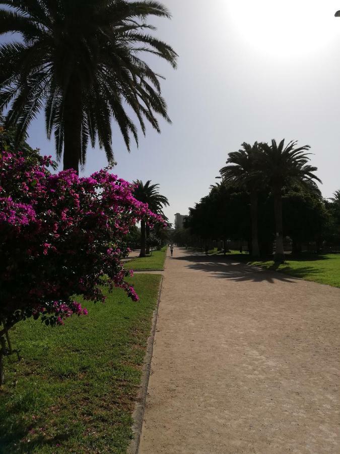 Apartamento La Marina-Ciudad Jardin Las Palmas / Gran Canaria Exterior foto